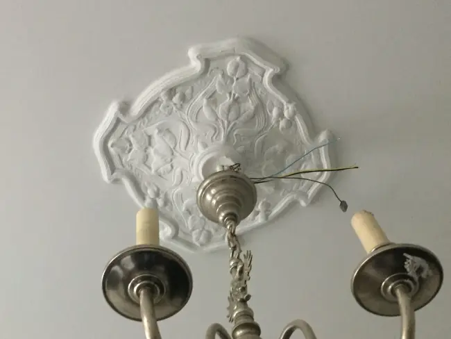  Maler-2-scaled.jpg